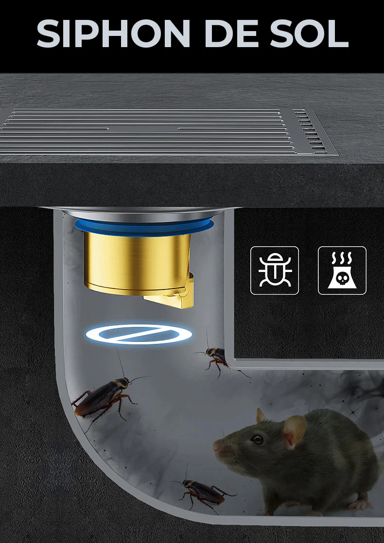 Bouchon de vidange de sol en cuivre, Anti-odeur, Anti-insecte (ORIGINAL) 01 Acheté = 01 Offert